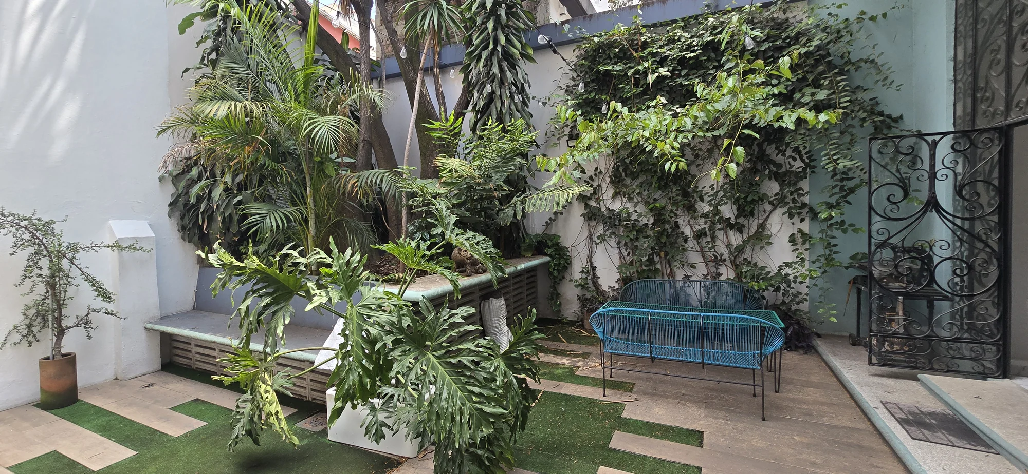 Leafy courtyard and gathering area at Interamerica Studios.